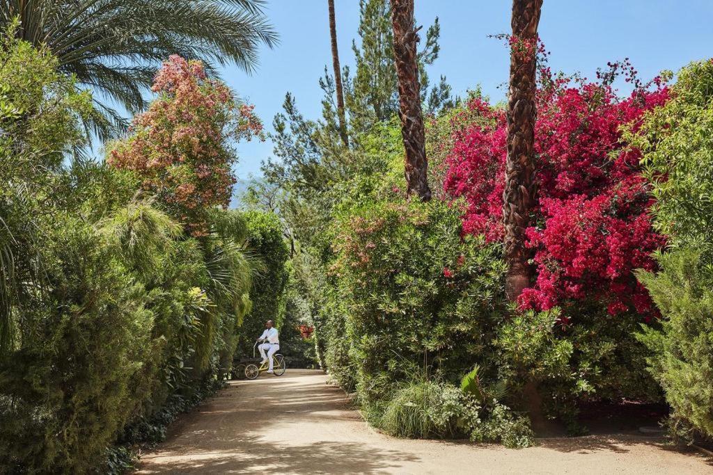 فندق باركر بالم سبرينجز بالم سبرينغس المظهر الخارجي الصورة